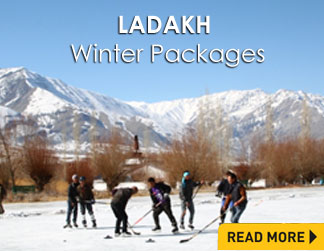 Ladakh Winter Travel Guide