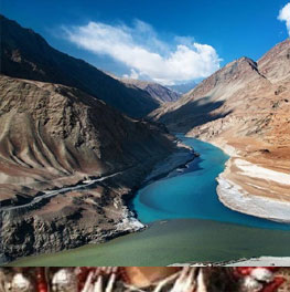 Nubra Valley in Winters 6 Nights